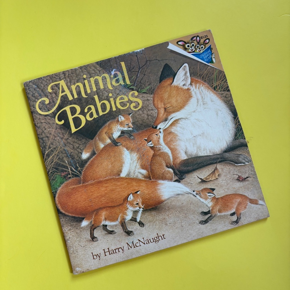 Vintage 1977 Paperback Kids Animal Babies Book by Harry McNaught